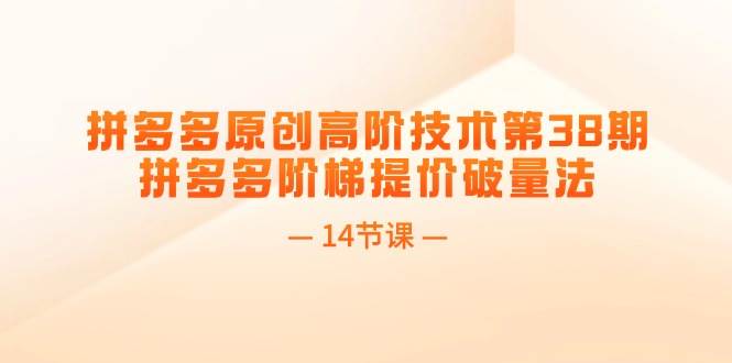 拼多多原创高阶技术第38期，拼多多阶梯提价破量法（14节课）-副业之家