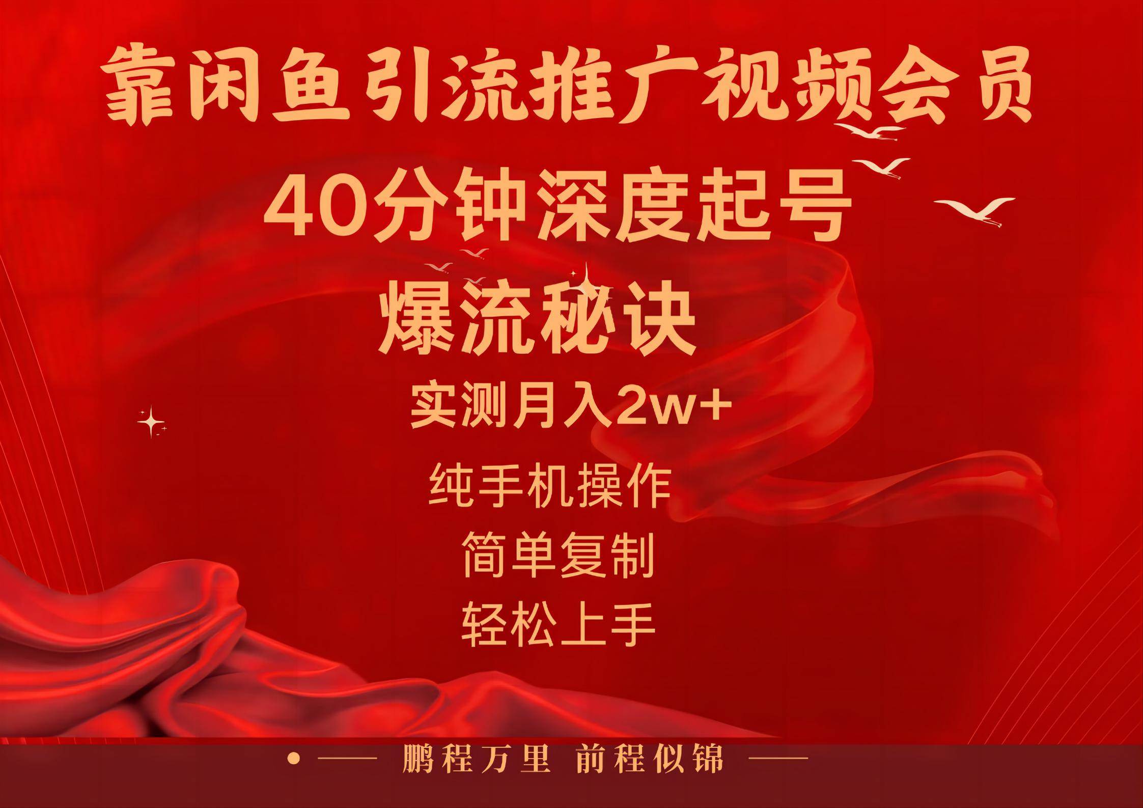 闲鱼暴力引流推广视频会员，能做到日入2W+，操作简单-副业之家