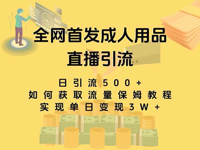 最新全网独创首发，成人用品直播引流获客暴力玩法，单日变现3w保姆级教程-副业之家