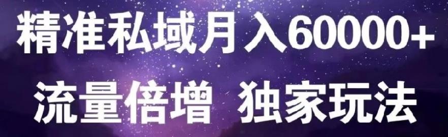 原力网赚精准私域月入60000+,流量倍增独家玩法-副业之家