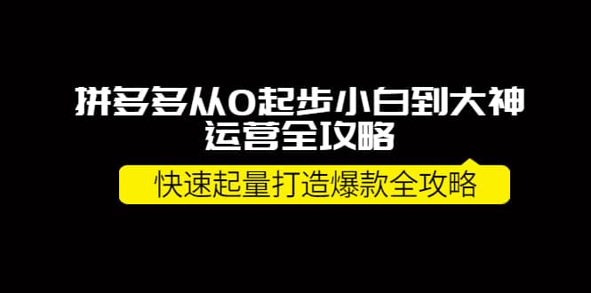 拼多多从0起步小白到大神运营全攻略-副业之家