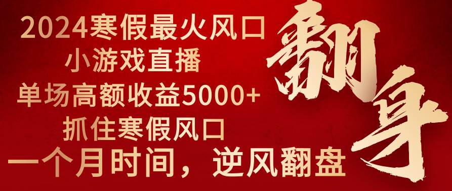 2024年最火寒假风口项目 小游戏直播 单场收益5000+抓住风口 一个月直接提车-副业之家