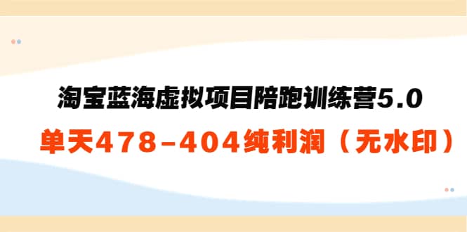 淘宝蓝海虚拟项目陪跑训练营5.0：单天478纯利润（无水印）-副业之家