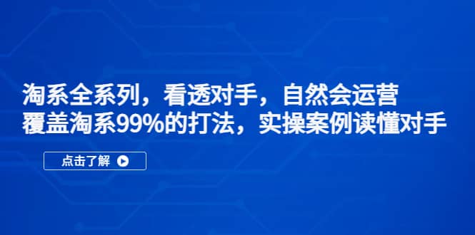淘系全系列，看透对手，自然会运营，覆盖淘系99%·打法，实操案例读懂对手-副业之家