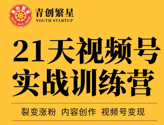 张萌21天视频号实战训练营，裂变涨粉、内容创作、视频号变现 价值298元-副业之家