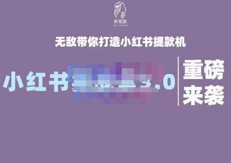 谢无敌·小红书实战营3.0，无敌带你打造小红书提款机 价值7999元-副业之家