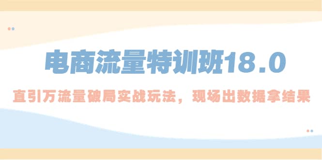电商流量特训班18.0，直引万流量破局实操玩法，现场出数据拿结果-副业之家