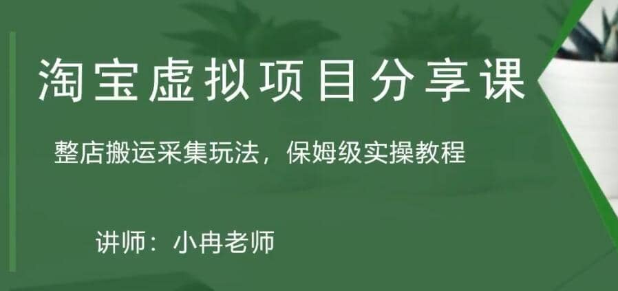 淘宝虚拟整店搬运采集玩法分享课：整店搬运采集玩法，保姆级实操教程-副业之家