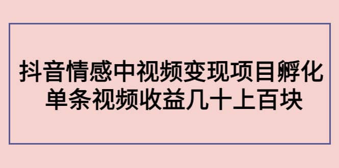 抖音情感中视频变现项目孵化-副业之家
