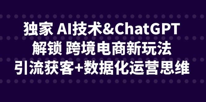 独家 AI技术ChatGPT解锁 跨境电商新玩法，引流获客+数据化运营思维-副业之家