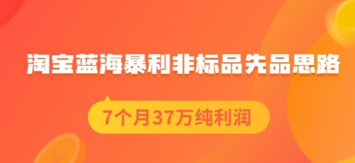盗坤淘宝蓝海暴利非标品先品思路，7个月37万纯利润，压箱干货分享！【付费文章】-副业之家