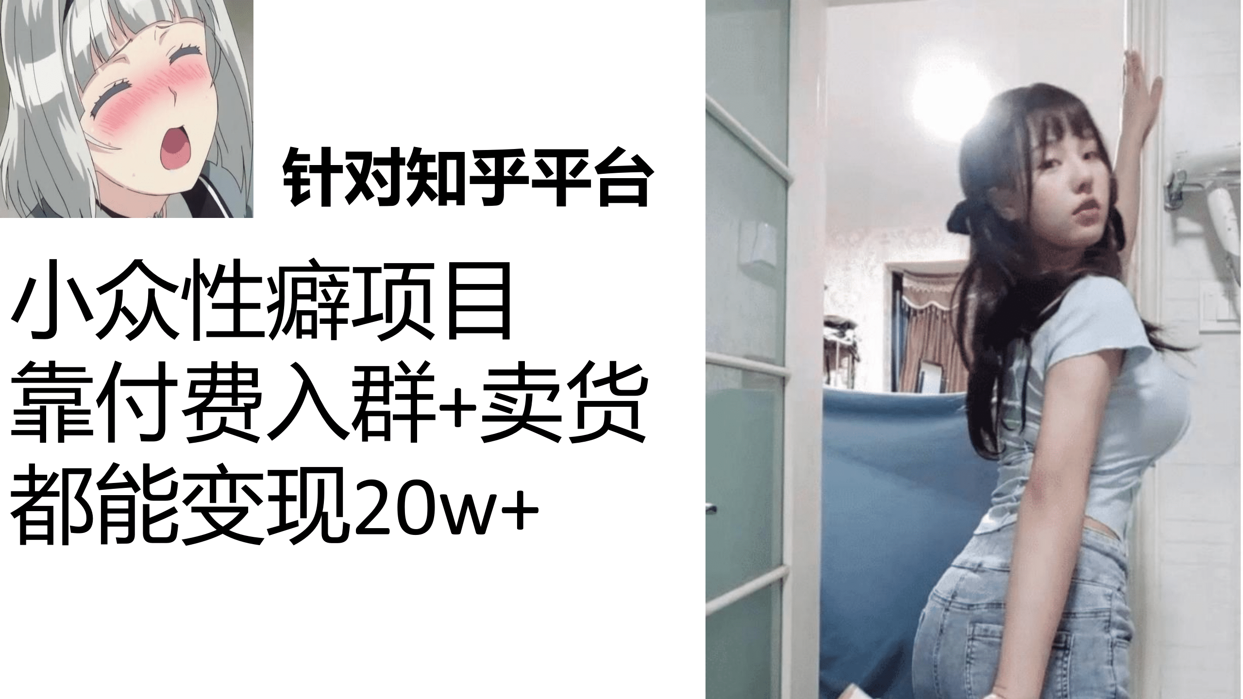 知乎小众性癖项目，Lsp的钱才是最好赚的，付费建群+卖货变现20w-副业之家