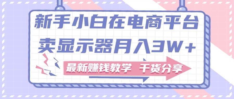 新手小白如何做到在电商平台卖显示器月入3W+，最新赚钱教学干货分享-副业之家