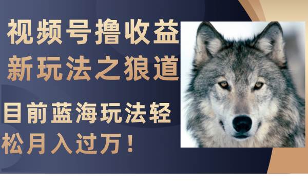 视频号撸收益新玩法之狼道，目前蓝海玩法轻松月入过万！-副业之家