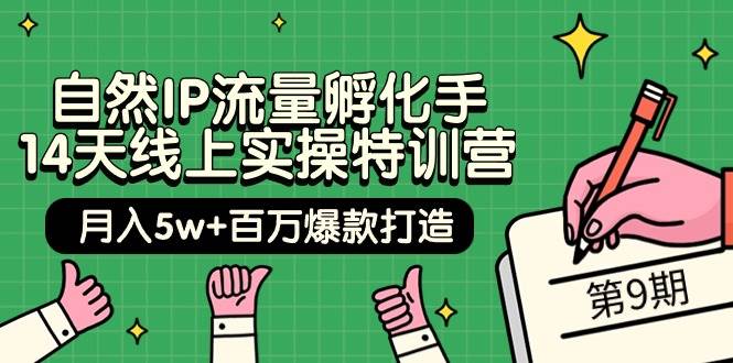 自然IP流量孵化手 14天线上实操特训营【第9期】月入5w+百万爆款打造 (74节)-副业之家