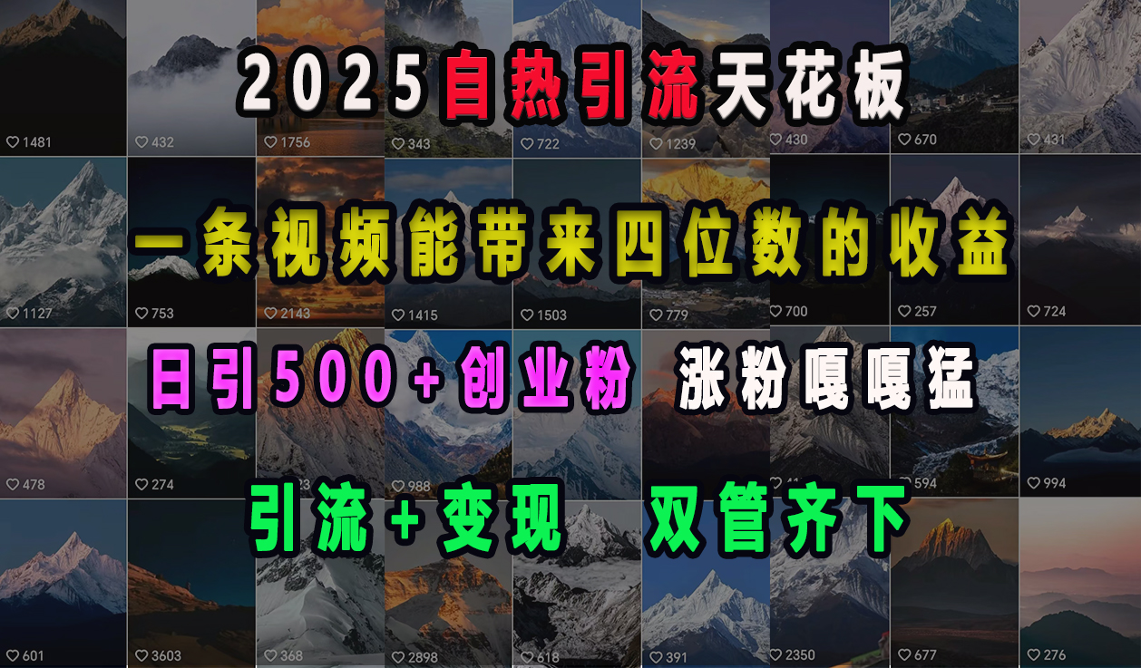 2025自热引流天花板，一条视频能带来四位数的收益，引流+变现双管齐下，日引500+创业粉，涨粉嘎嘎猛-副业之家