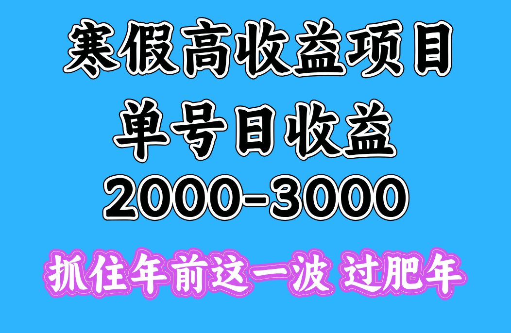 寒假期间一天收益2000-3000+，抓住年前这一波-副业之家