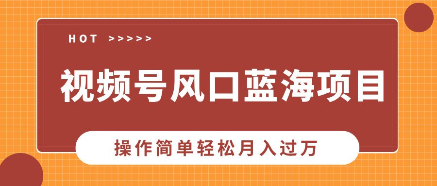 视频号风口蓝海项目，中老年人的流量密码，操作简单轻松月入过万-副业之家