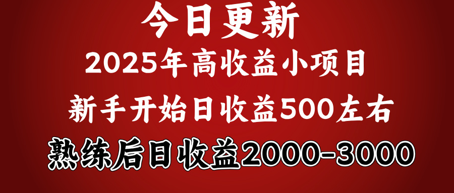 2025开年好项目，新手日收益500+ 熟练掌握后，日收益平均2000多-副业之家