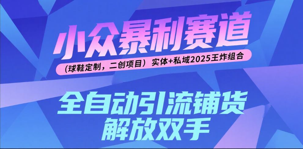 楠—小众暴利赛道（球鞋定制，二创项目）实体+私域2025王炸组合-副业之家
