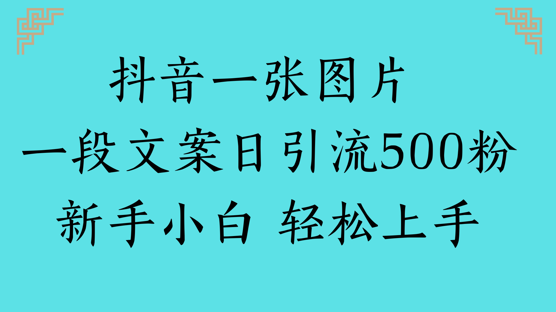 抖音一张图片 一段文案日引流500粉新手小白 轻松上手-副业之家